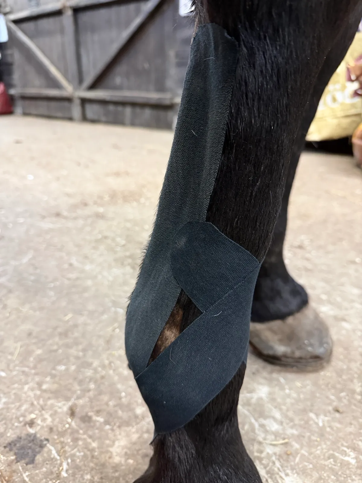 Macro detail of kinesiology tape on a black horse’s leg