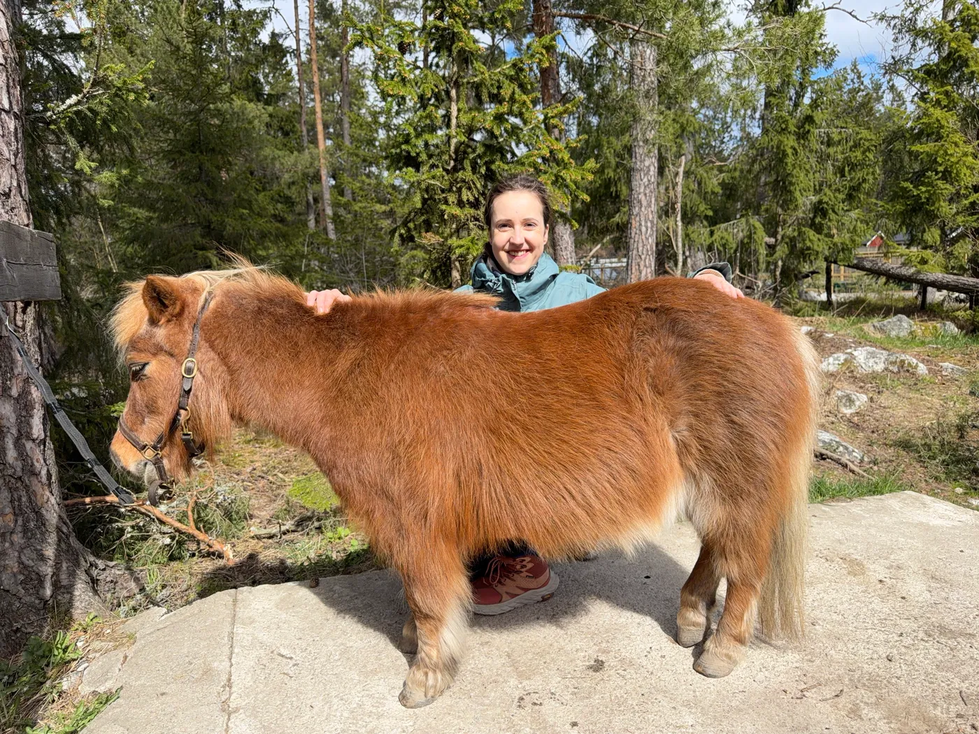Johana v podřepu za plavým chundelatým poníkem na lesní pěšině